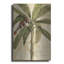 «Royal Palm I» par NBL Studio-982240471