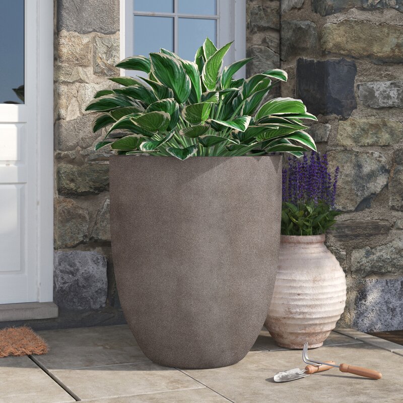 Birch Lane™ Renegade Erhard Fiberglass Pot Planter & Reviews | Wayfair