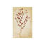 Pressed Flowers V Print by Michelle Bennett-26931562-26931563