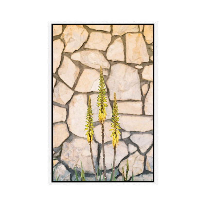Palm Springs Blooms 1 Piece Wall Art on Canvas, 101.6cm H x 66.04cm W x 3.81cm D, White Framed