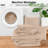5pc Comforter Set - All Season Down Alternative Comforter with Shams and Bed Skirt - Quilted Duvet Insert with Corner Tabs-110971794-110971800