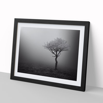 Lonely Tree - Single Picture Frame Print