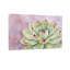 Plantes et fleurs, plante grasse, reproduction d'art-847151978