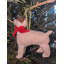 Arcadia Home Jack Russell Terrier Hand-Knit Ornament