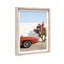 Estampe Parked Bloom Shadowbox Transportation d'Oliver Gal-136192268-136192269
