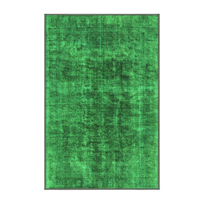 Washable Oriental Indoor Rug