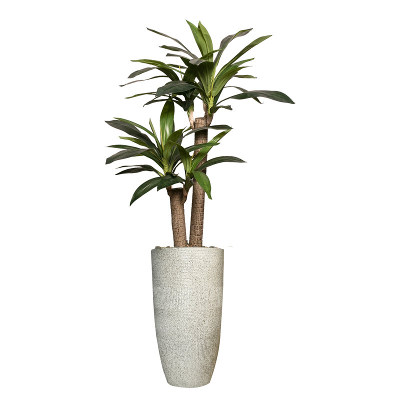 Dracaena artificiel Panama 59 po en pot