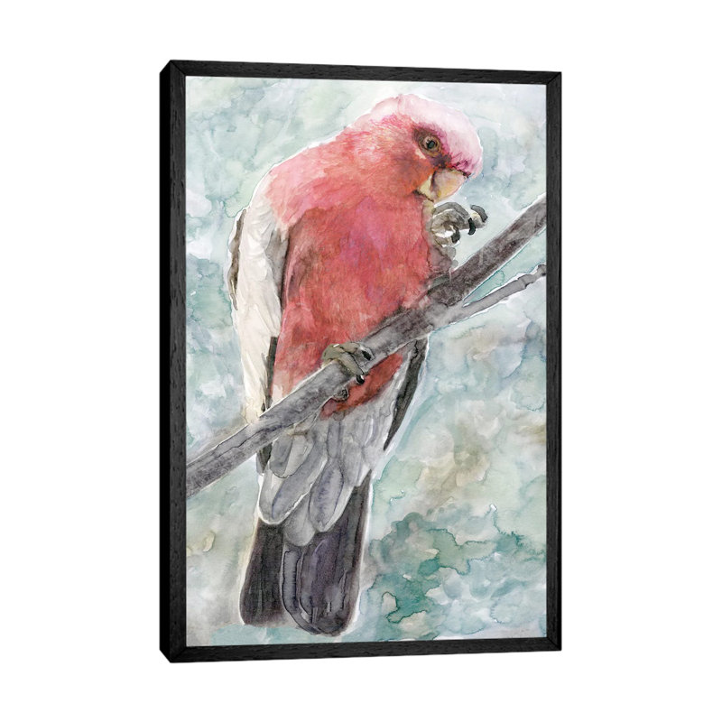 Tropic Parrot I by Stellar Design Studio - Floater Frame Gallery-Wrapped Canvas Giclée on Canvas, 101.6 cm H x 66.04 cm W