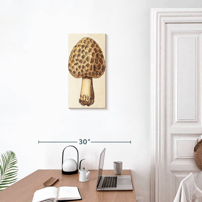 Morel Mushroom, 24" H x 12" W