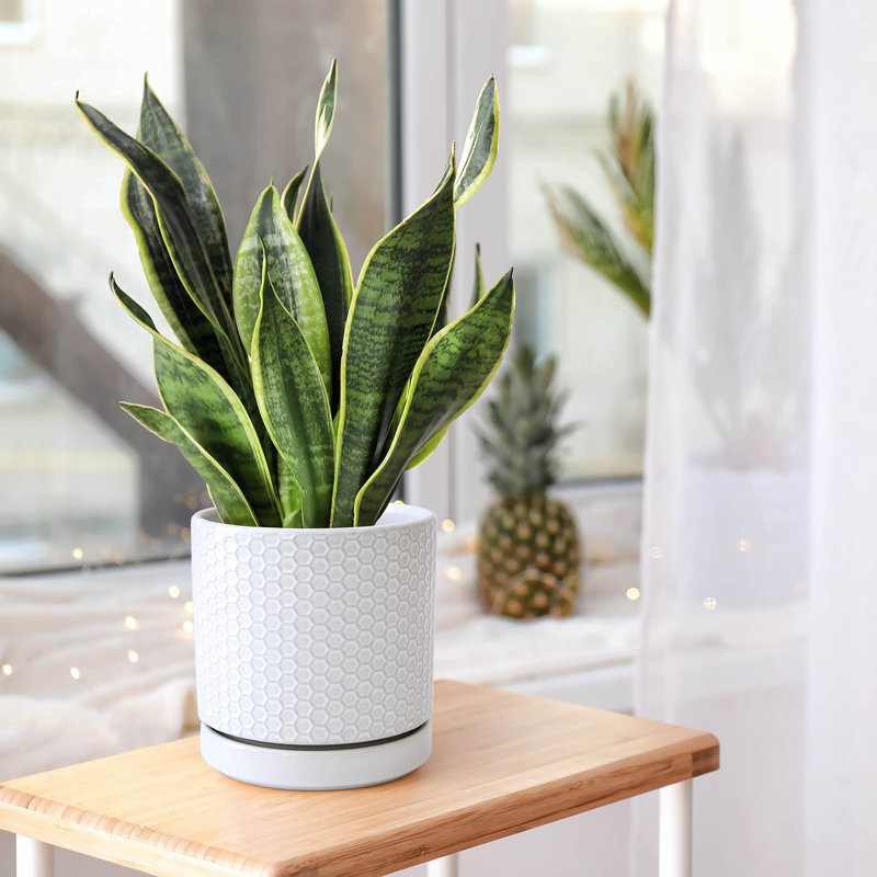 Set of 2 Modern Honeycomb Embossed Ceramic Planter Pots - 4" & 6" with Drainage Hole and Saucer