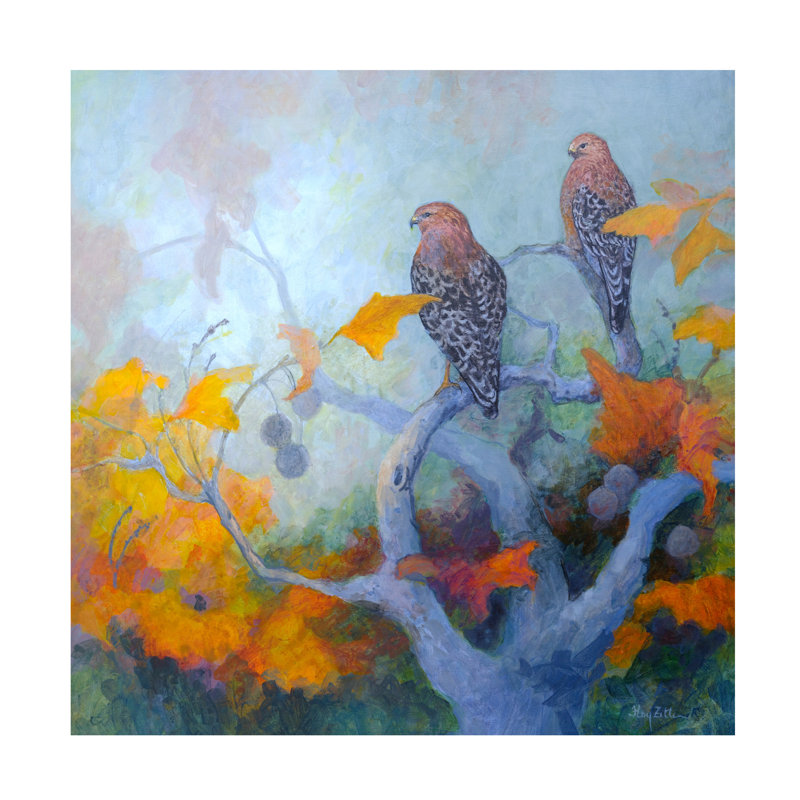 Art mural sur toile tendue - Floy Zittin «Red-épaulesed Hawk pair», décoration murale pour le salon, la chambre à coucher ou le bureau - 24 x 24