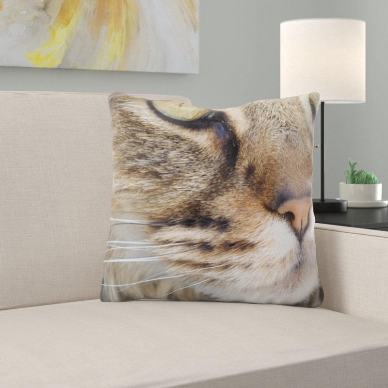Coussin pour chat