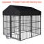 Enclos pour chien robuste