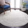 Oriental Area Rug