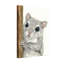 Animaux mignons écureuil gris furtivement du bois-881447087