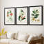 Turpin Tropical Botanicals IV - reproduction sur mesure encadrée de qualité supérieure - 3 pièces-1893982537-1893982539