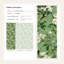 Papier peint floral vert chinois