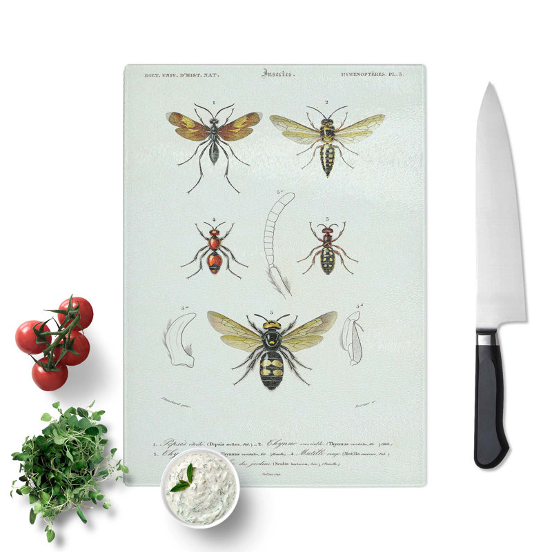 Tempered Glass Insect Illustrations PL. 5 by Charles D' Orbigny Chopping Board, 20 cm x 28.5 cm