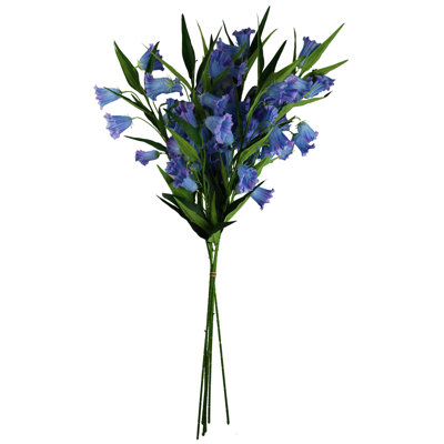 Antiqua Arrangement