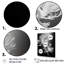 Anémone noire et blanche IV sur toile-997196108-997196123