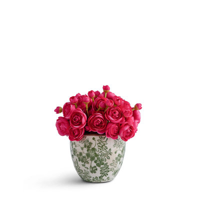 Baby Ranunculus