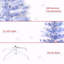 Arbre de Noël
