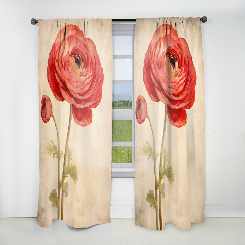 Carlock Vintage Ranunculus Dreams III - Traditional Velvet Curtain - Room Darkening - 1 panel, 52" W x 84" L