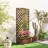 Wood Raised Garden Bed with Trellis