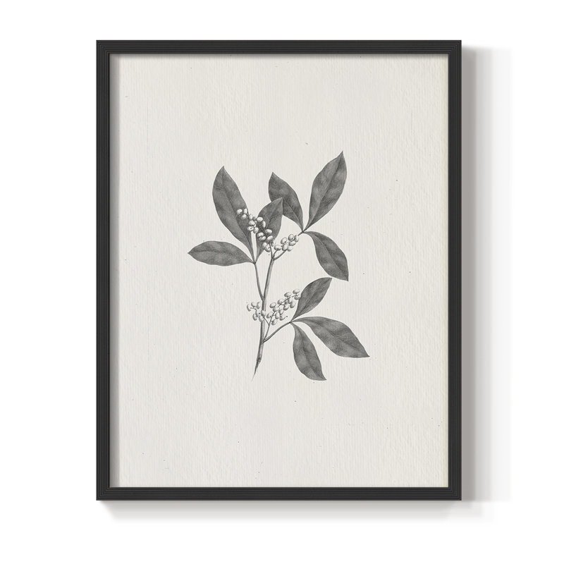 Reproduction encadrée rétro en bois massif XCV III, H 21 po x l 17 po, Noir, noir, noir, noir