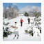 Skiing Waiters Print by Slim Aarons-913347362-913363414
