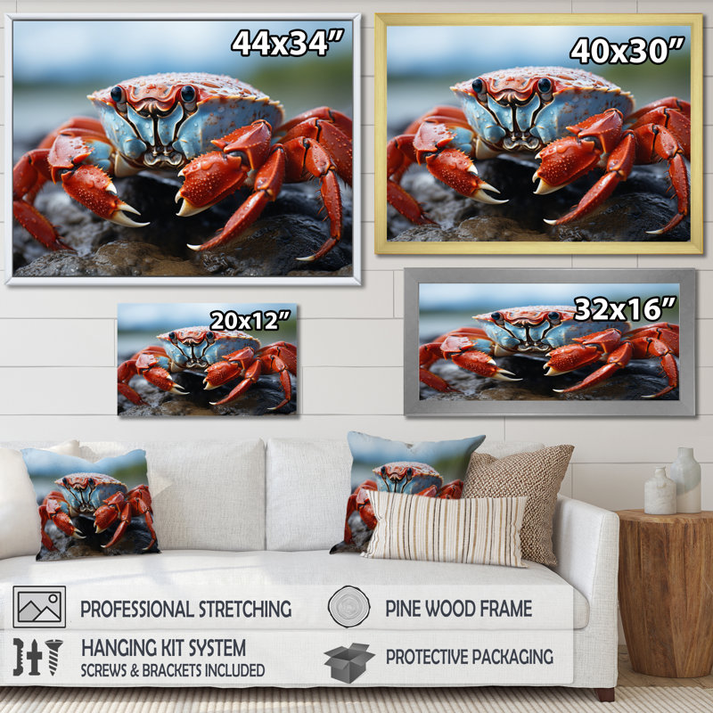 Crab Coastal Guardian sur toile, 12" H x 20" W, Silver Picture Framed