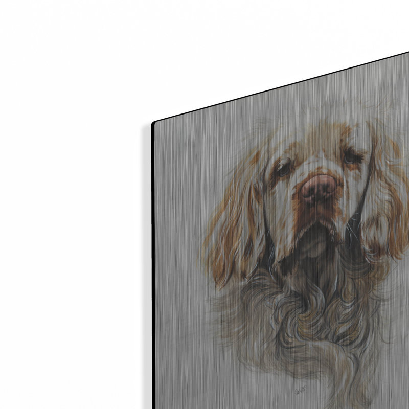 «Clumber Spaniel» par Barbara Keith, H 16 po x l 12 po
