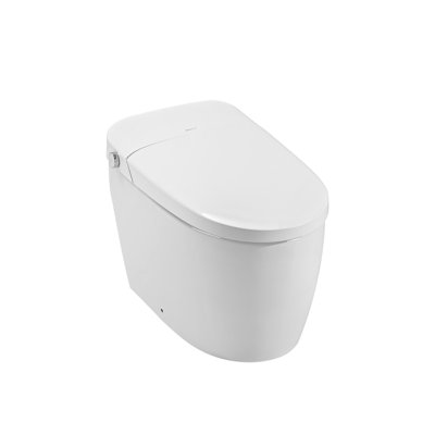 One-Piece Smart Toilet with Heated Seat, Self-Cleaning Nozzle, Auto Flush, and Night Light in White Ceramic