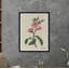 Cherry Blossom Print