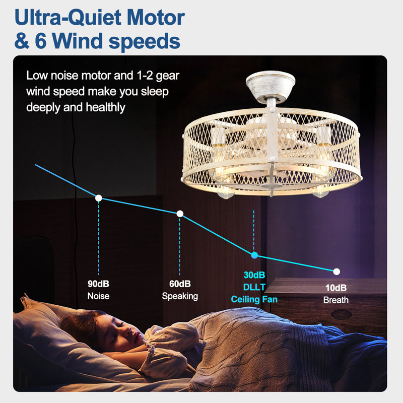 20" Caged Ceiling Fans with Remote App Control for Patio Kitchen Bedroom, Farmhouse Flush Mount Ceiling Fan with Lights Reversible 6 Speed Timer Cement