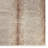 Animal Print Indoor Rug-1406115572