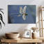 Libellule Brampt empereur volant-108817515