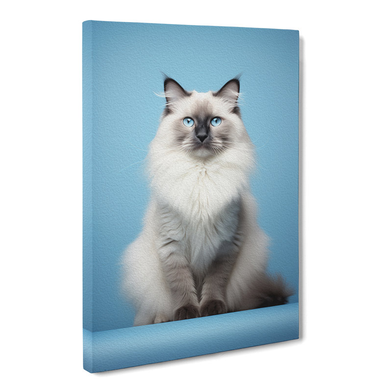 Ragdoll Cat Minimalism No.3 - Wrapped Canvas