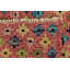 Tapis rouge Newsom