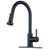 Oil Rubbed Bronze