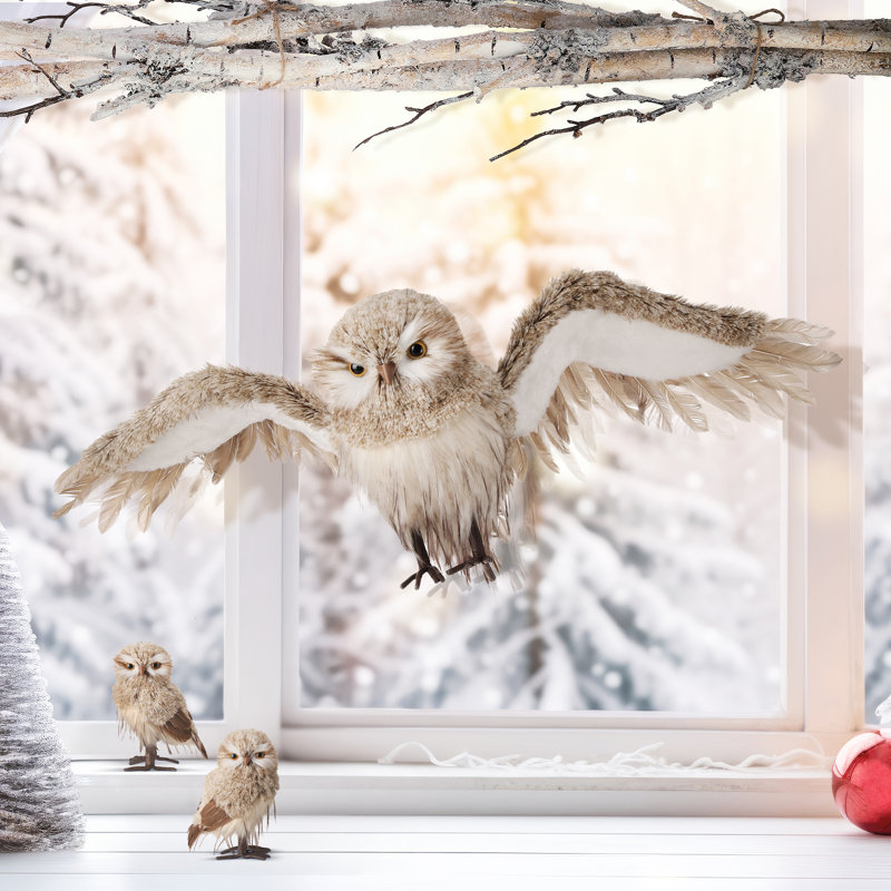 Hibou 28 po