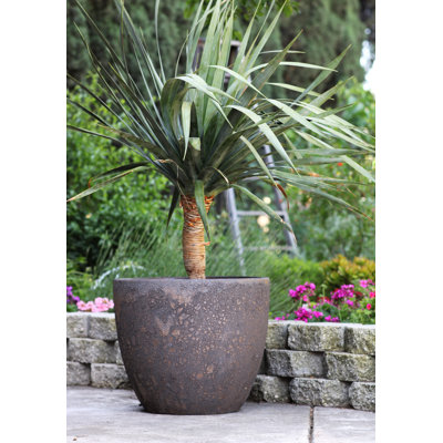 Pots Coco Corail Grand Format Céramique Émaillée - Intérieur Extérieur
