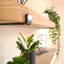 Haybridge Floating Shelf