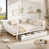 Blanc est en rupture de stock