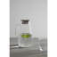Dorthie 1.8 L Coffee Carafe