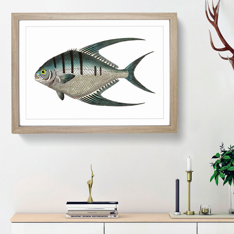 Glaucous Butterflyfish by George Shaw - Framed Print, Oak Framed, 27cm H x 36cm W x 2cm D