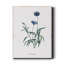 Bleu impérial - impression sur toile tendue-559935122