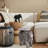 Destiney Elephant End Table
