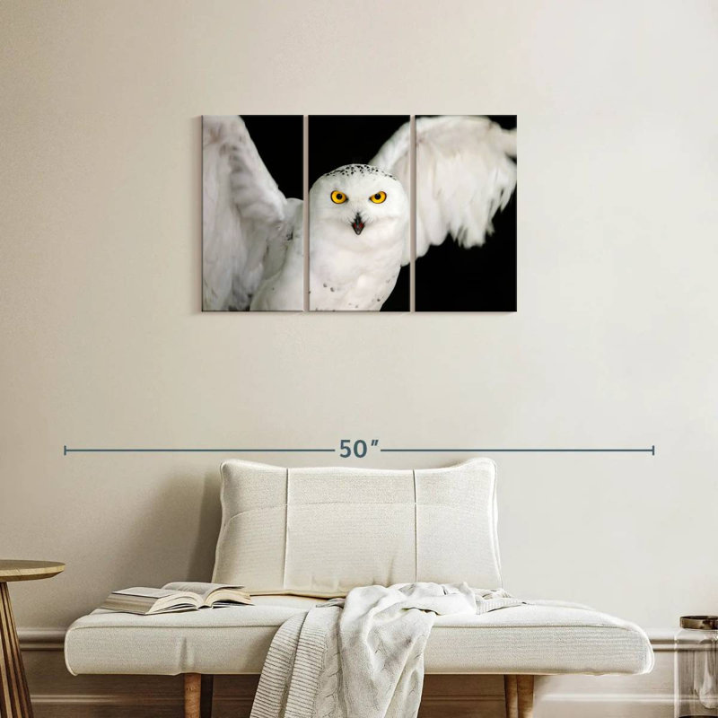 White Owl, 20" H x 33" W