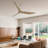 Longway 60'' Ceiling Fan